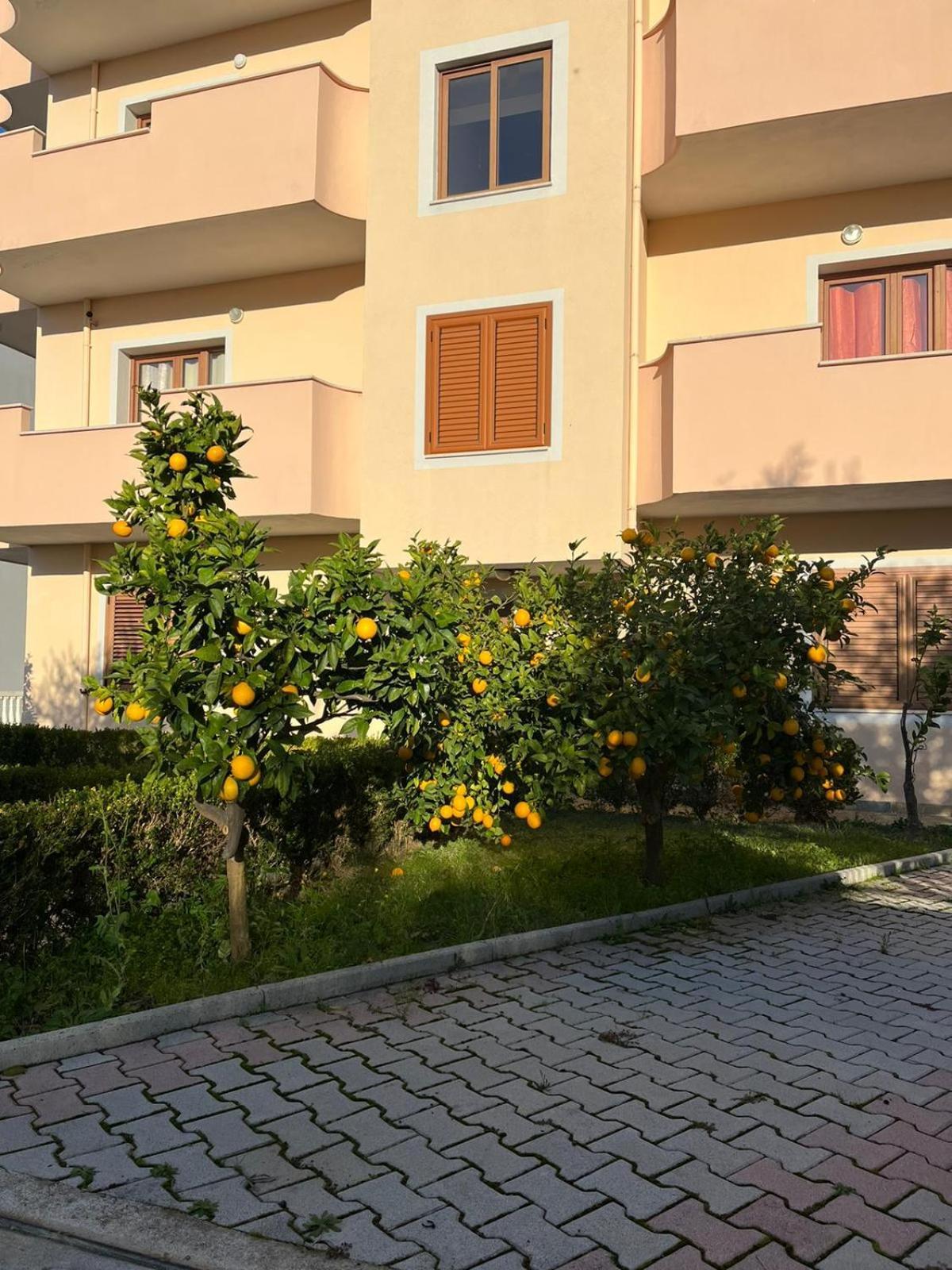 Dei Limoni * Škalngur