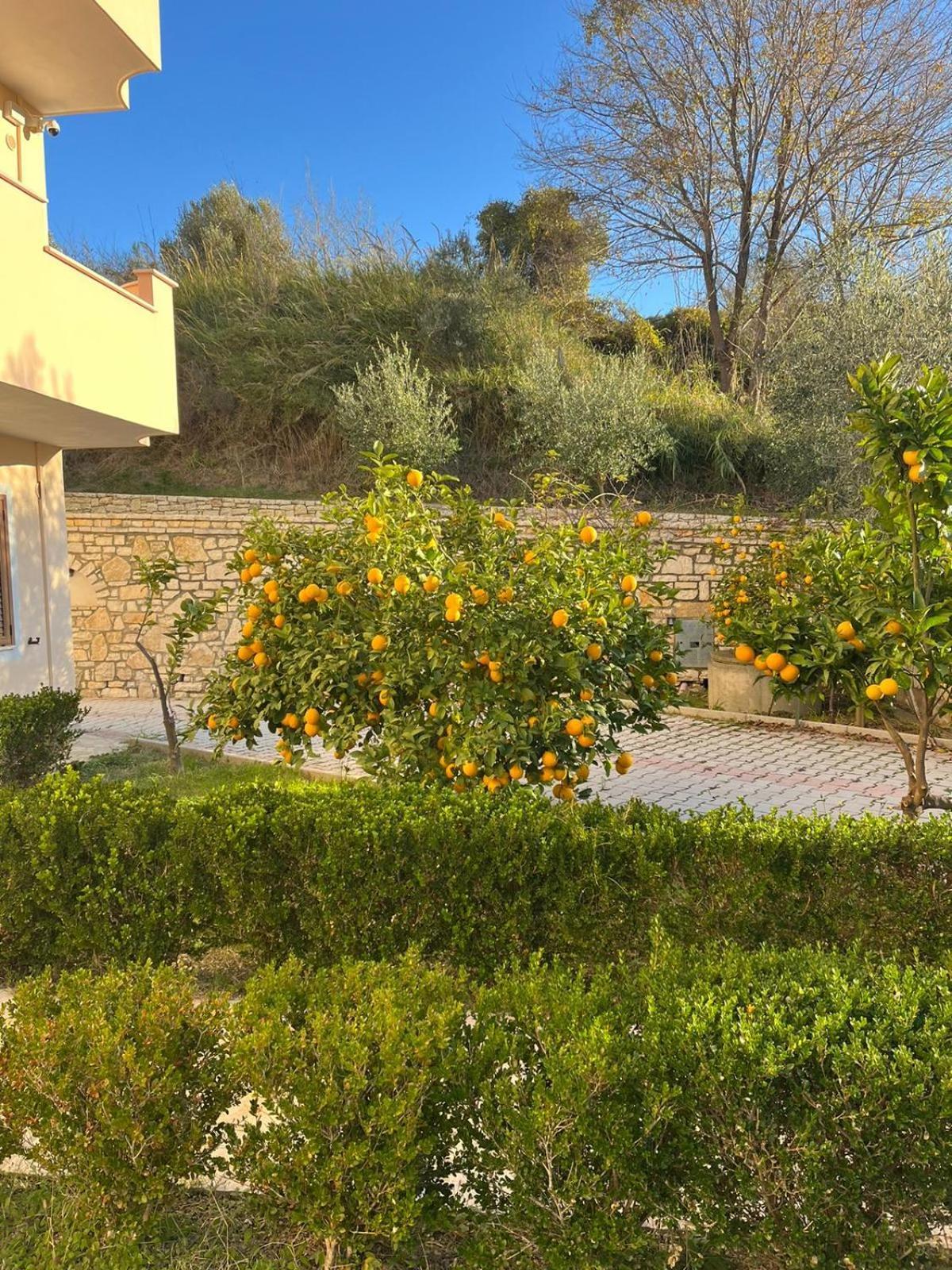 Appart hôtel Dei Limoni