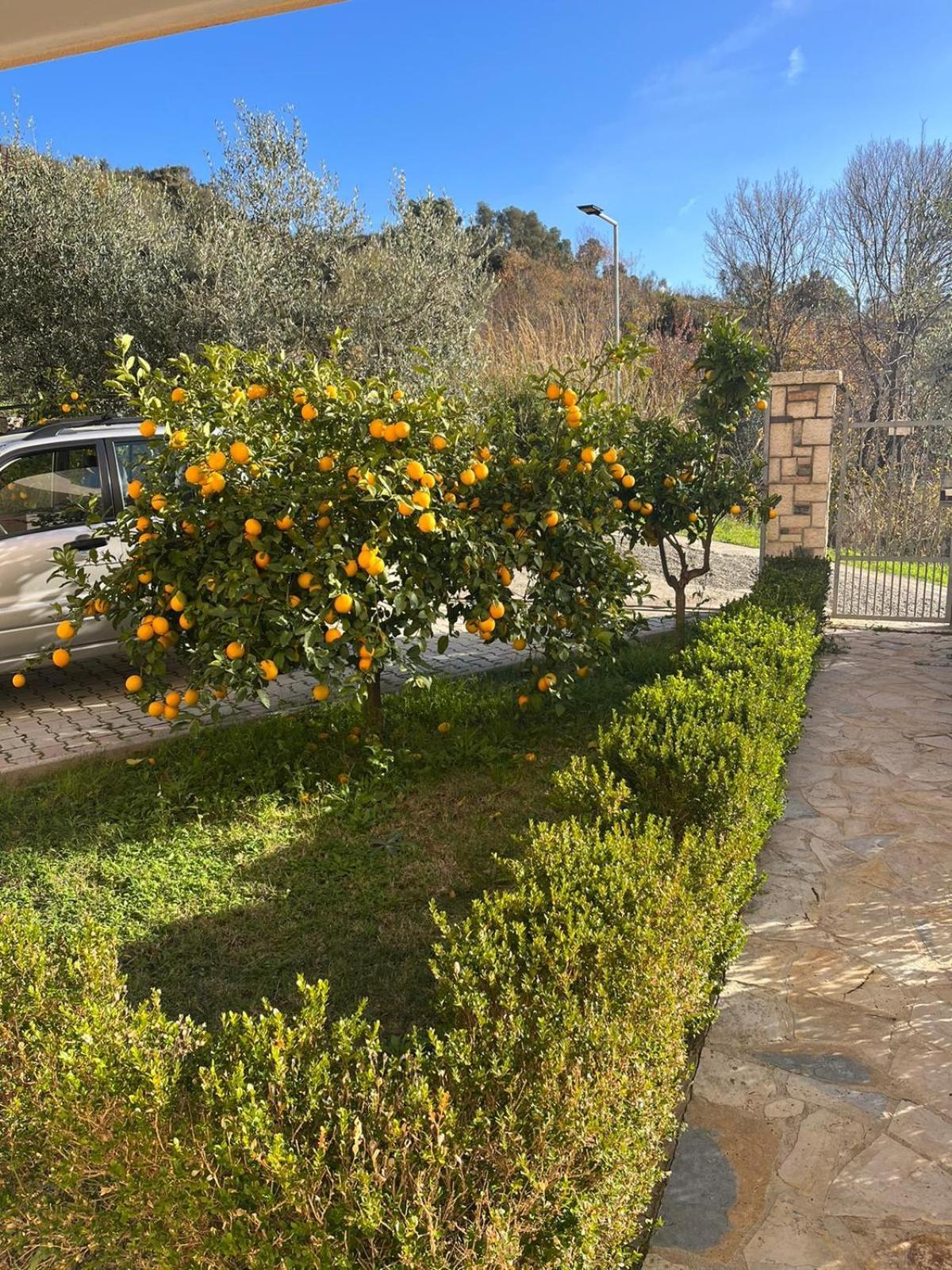 Appart hôtel Dei Limoni