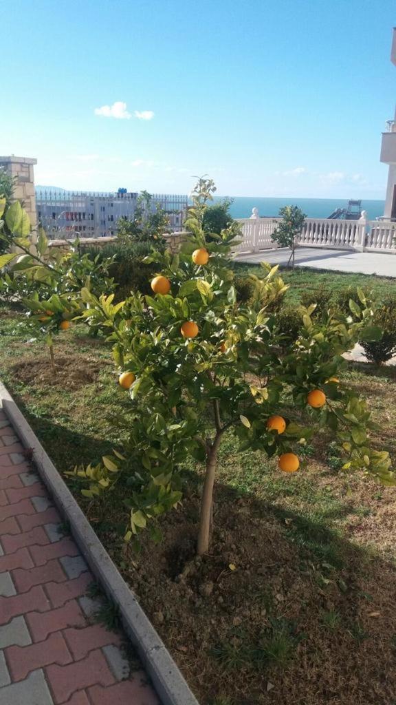 Appart hôtel Dei Limoni *